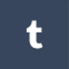 Lifesize Custom Cutouts Tumblr Logo
