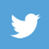 Lifesize Custom Cutouts Twitter Logo